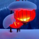 千鹤雪国