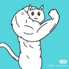 殤泪璨熙