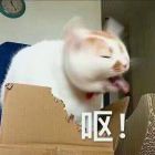 情深缘难留，相思字成灰