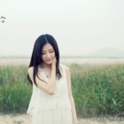 静若兰 淡如风