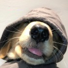 淡忘、那伤