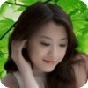 **仙客来**