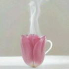 怡然