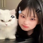     爱莉丝[叶莹]