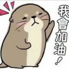 丿灯泡灬游少