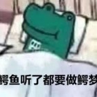 再不疯狂青春就荒了____