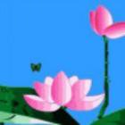 在水一方