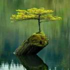 云情雨意