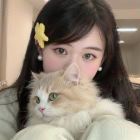 Kimi、