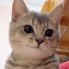﹌牵挂于心的依旧还是你  