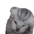`王ゞ 主子