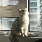 冫靜靜灬嘚氵想惗妳