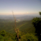 傲雪bingxi