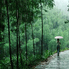 听雨