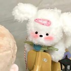 菲宝