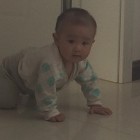 清风碧荷