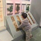 -約顁べ絠變