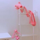 淡入淡出