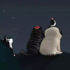 落花城