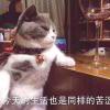 简一。