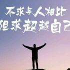 风敲清韵