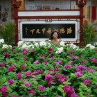 春暖&花开