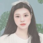 羽蝶