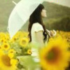 雨馨