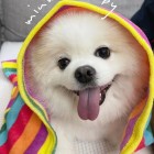 。