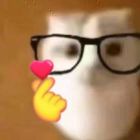 点点