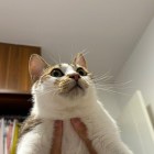 眷恋你→