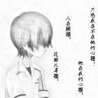 冰風中の雪