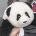 独孤无尘·清竹