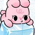 繁星、夏若离