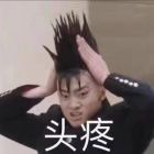 猪