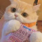 落*幕の|那一瞬间'
