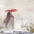 花晓诺