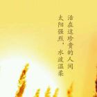 光輝歲月