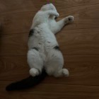 没什么好怕。、