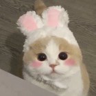 下雨了
