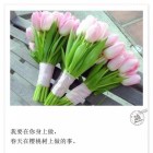 埃拉伯酋长