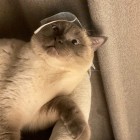 灵归零