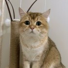 在怀念╰＇怀念从前的从前