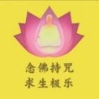 宏愿