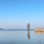 随水