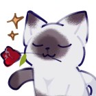 ∽ 分手后de爱↘