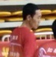 小马