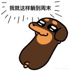 薄荷糖的夏天