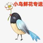 巨龙-黄哥
