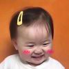 花去燕归来